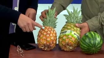 Arturo Olvera, comerciante del mercado de Arcos de Belén, nos enseña a escoger correctamente frutas y legumbres para llevar lo mejor a casa.