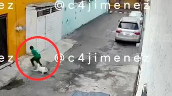 Un perro atacó a un niño de 11 años mientras jugaba en calles de Iztapalapa. El menor sufrió graves lesiones en una pierna y fue hospitalizado. Un vecino que intentó rescatarlo también fue mordido.