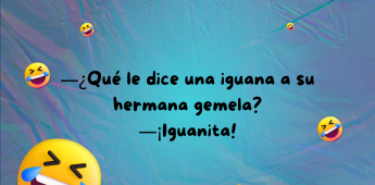 Chiste 1