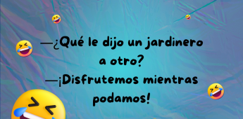 Chiste