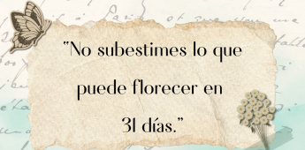 Minuto Sabio
