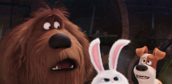 La vida secreta de tus mascotas