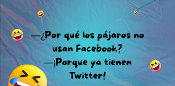 Chiste