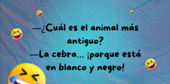 Chiste