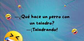 Chiste