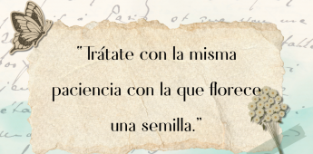 Minuto Sabio