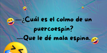 Chiste