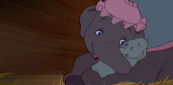 Dumbo