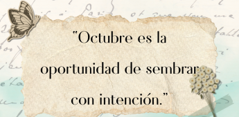 Minuto Sabio