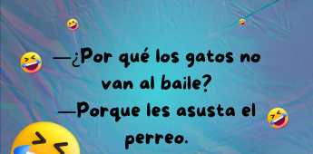 Chiste