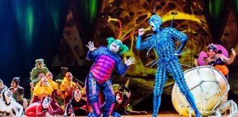 “OVO” llega a Monterrey: acrobacias, color y emoción para toda la familia