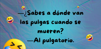 Chiste