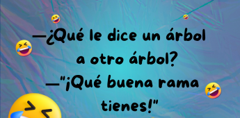Chiste