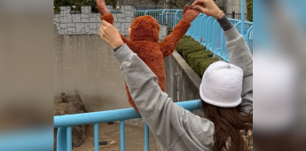 Lisa de Blackpink visitó a Punch