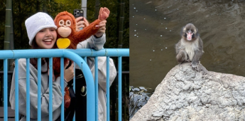 Lisa de Blackpink visitó a Punch