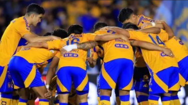 Tigres