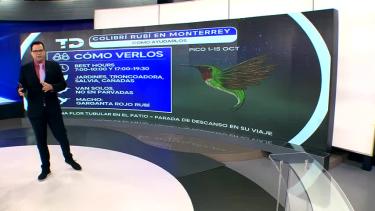 Nelson Valdez nos da el pronóstico del tiempo en Monterrey para este lunes 14 de septiembre 2026.