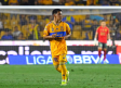 RG EXPRESS: La afición de Tigres está siendo MUY dura con el Chicha Sánchez