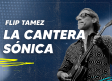 Las bandas en desarrollo