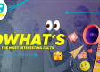 DWHAT´S: Hormigas