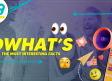 DWHAT´S: Águilas