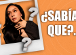 ¿Sabías que…? Carla concibe la composición como forma de sanación emocional