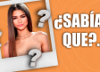 ​¿Sabías que...? Zendaya comenzó su carrera como bailarina en comerciales y desfiles.