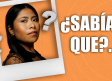 ¿Sabías qué?... Yalitza Aparicio trabajó como maestra de preescolar.