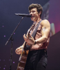 DNews: Shawn Mendes le dedica palabras a Liam Payne