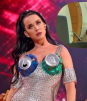 Katy Perry llega por sorpresa a Kangaroo Island en su escala en Australia