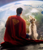 Krypto conmueve al público y dispara adopciones tras estreno de Superman