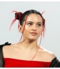 Rosalía adelanta que su próximo álbum será totalmente diferente a Motomami
