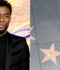 Chadwick Boseman recibirá una estrella póstuma en el Hollywood Walk of Fame